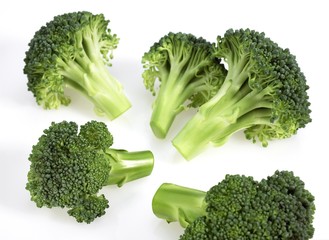 Broccoli Cabbage, brassica oleracea against White Background