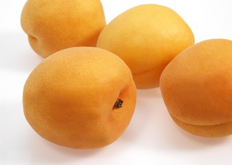 Apricots, prunus armeniaca against White Background