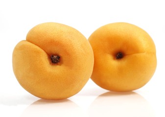 Apricots, prunus armeniaca against White Background
