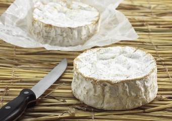 Camembert, French Cheese made in Normandy from Cow's Milk