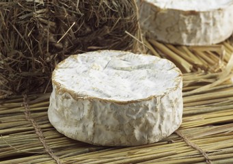 Camembert, French Cheese made in Normandy from Cow's Milk