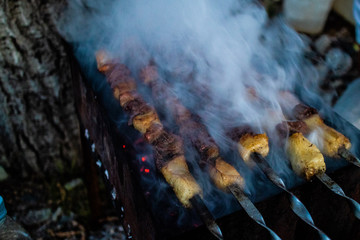 Shashlik