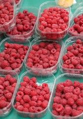 Rasberries, rubus idaeus on Market Stall