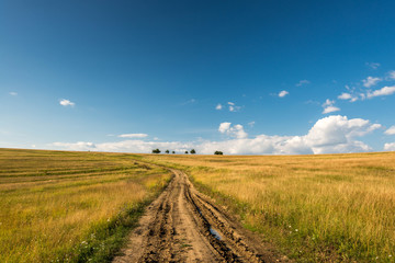 Dirt road leading through burnt out grass at early summer to the top of the hill, blue sky with white clouds background.
