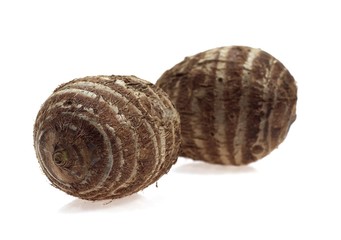 Eddo, Tuber of the Dasheen Plant, colocasia esculenta