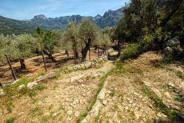 Obraz premium Cami de Rocafort, valle de Soller, Mallorca, Balearic Islands, Spain
