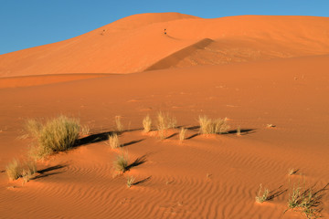Fototapeta na wymiar SAND DUNES AND DESERT LANDSCAPE IN TIN MERZOUGA TADRART NATIONAL PARK IN ALGERIA. 
