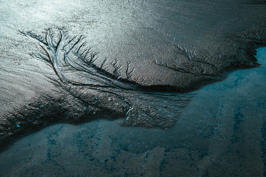 Close up of treelike shapes curved in dark sand by the ocean