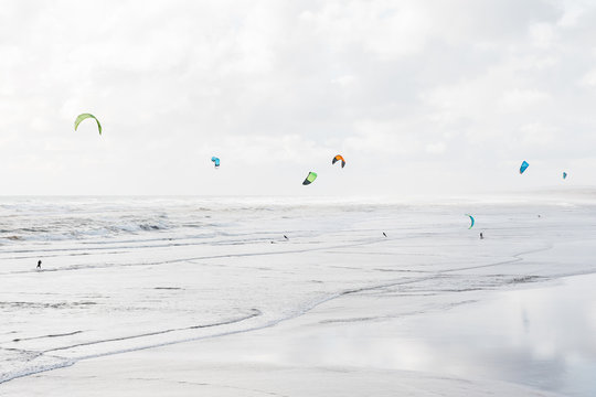 Kite Surfing, Muriwai Beach, New Zealand.
