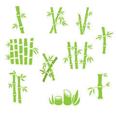 Set of green bamboo hand drawn element for card design on white, stock vector illustration