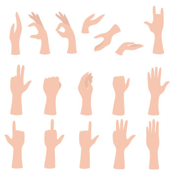 Set of hands showing different gestures. Palm pointing at something. Isolated flat vector illustration