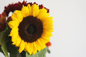 Bouquet with sunflower, white wall as background. Summer flower. Summer symbol. Flower arrangement