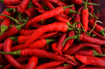 Red-colored hot pepper pods