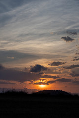 summer sunset with dry plants