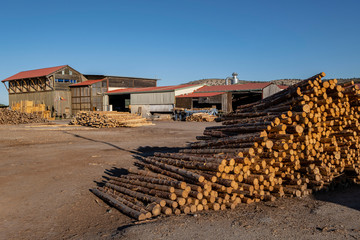 industria de la madera, Cabrejas del Pinar, Soria, Comunidad Autónoma de Castilla, Spain, Europe