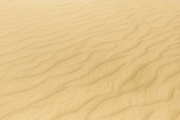 Fototapeta na wymiar Sand texture close up, background