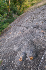 Navalsaz, La Rioja , Spain, Europe