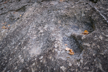 Navalsaz, La Rioja , Spain, Europe