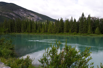 Bow River in the Morning