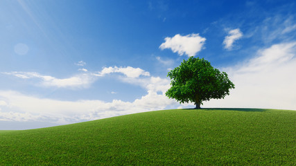 Fototapeta na wymiar High resolution. A tree standing alone in a lawn. 3d rendering