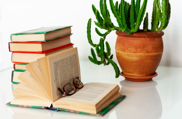 Cozy home interior decor: stack of books, plants in pots, open book on a white table. Distance home education.Quarantine concept of stay home.