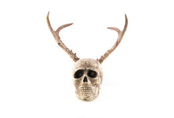 human skull with horns isolated on white background
