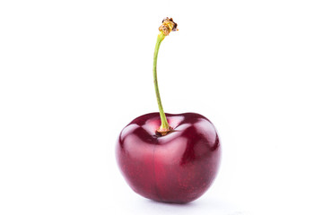 one sweet cherry on white background