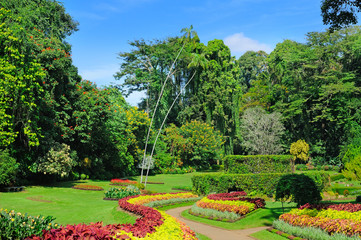 Nice sunny day in city park, take it in SriLanka