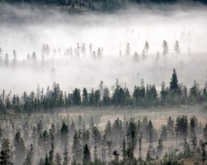 Nebel rollt durch ein Rocky Mountain Valley, Winter Park Colorado
