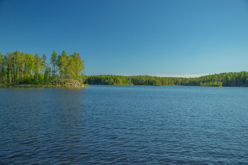 Obraz na płótnie Canvas a reservoir surrounded by a pine forest