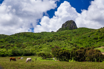 Mountain Da-Jian inside Kenting Ranch is the most eye-catching landmark of Kenting National Park in...