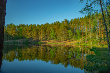 a reservoir surrounded by a pine forest
