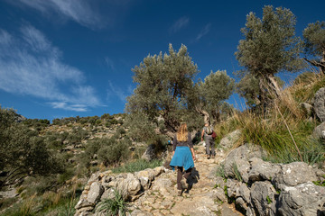 Naklejka premium traditional cobblestone road GR221, Es Tossals Verds section, Mallorca, Balearic Islands, Spain