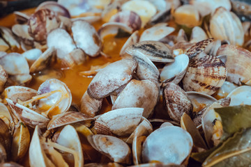 Clam casserole in tomato sauce