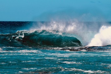 Wave Barreling Kohala, Hawaii