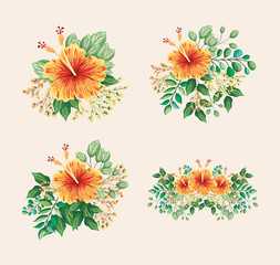 hawaiian flowers with leaves painting set design, natural floral nature plant ornament garden decoration and botany theme Vector illustration