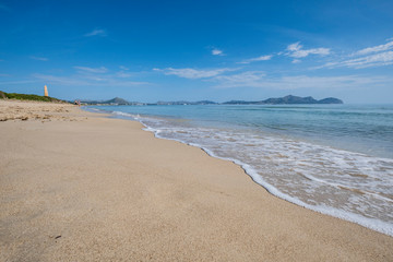 Es Comú, Àrea Natural d'Especial Interès, included within the Natural Park of s'Albufera, Muro, bahía de Alcúdia, Mallorca, Balearic Islands, Spain