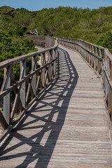Obraz premium Es Comu wooden walkway, Àrea Natural d'Especial Interès, included within the Natural Park of s'Albufera, Mallorca, Balearic Islands, Spain