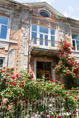 cottage with beautiful red roses around the door