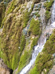image of water flowing around green moss