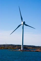 Eolian field and wind turbines