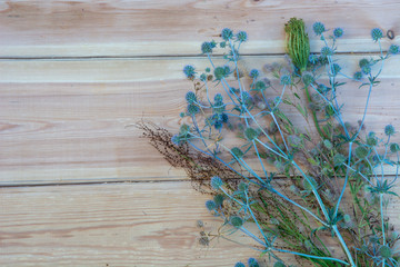 wild  flowers on wooden background