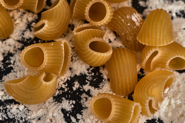 Rigatte pipes surrounded by flour