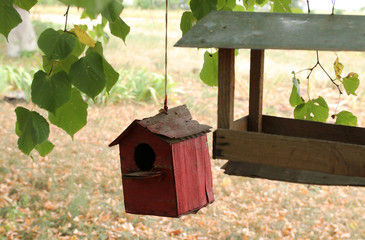 Old red birdhouse hanging from a tree.