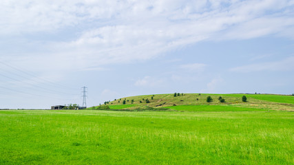 green field and blue sky