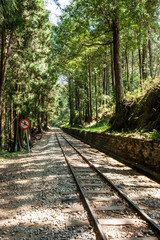 Alishan Forest Railway, Alishan Forest Recreation Area in Chiayi, Taiwan.