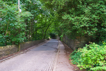 Obraz premium Road in the Forest in Halifax