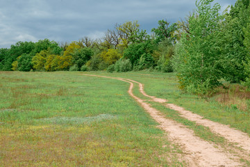 The road through the field next to the forest