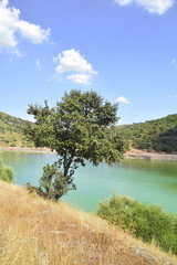 Foto del Parque Nacional de Monfragüe, Extremadura