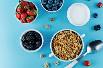 Obraz na płótnie Canvas Nuts oatmeal granola with berries in a bowl